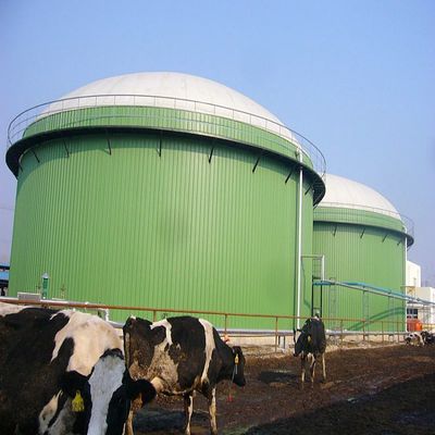 1500m3 Roof Top Dual Membrane Biogas Holder Balloon for Biogas Storage
