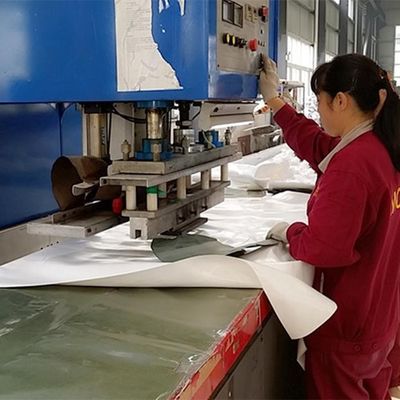 Shockproof Ground Mounted Biogas Storage Tank Price Double Membrane Gas Holders