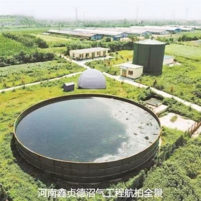 Dual Seam System Biogas Storage Tank Anti Corrosion For Industrial Waste Water