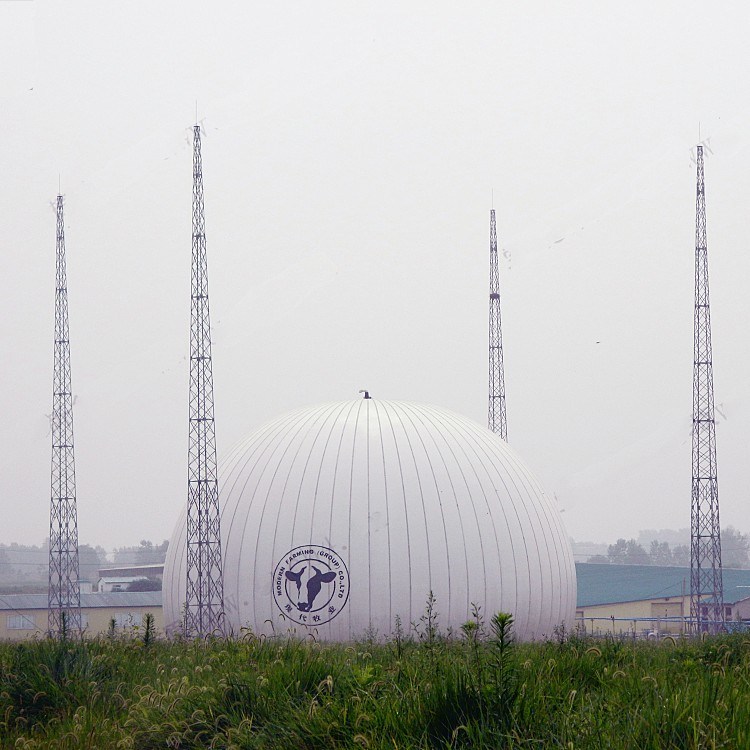 Anti Corrosion Spherical Biogas Double Membrane Gas Storage Tank For Wastewater Treatment